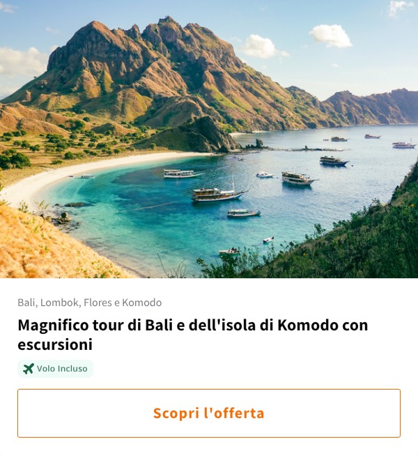 Magnifico tour di Bali e dell'isola di Komodo con escursioni