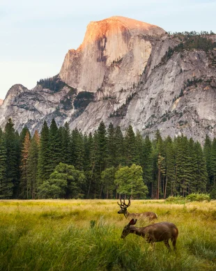 Perditi nei grandi spazi aperti