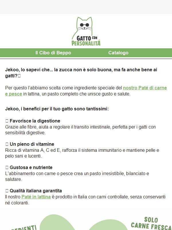 La zucca è sicura per i gatti?