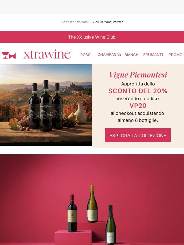Nuovi arrivi: vini selezionati e grandi scoperte