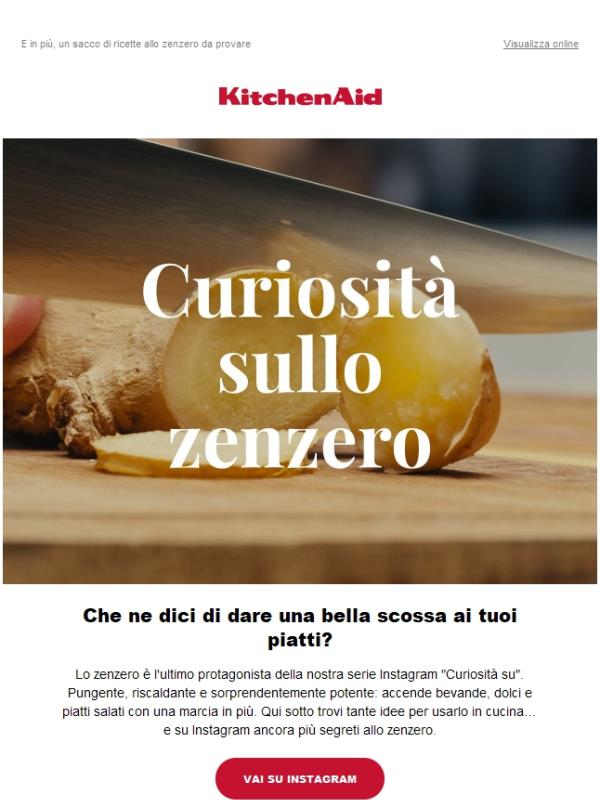 Scopri lo zenzero: una piccola radice dal carattere esplosivo