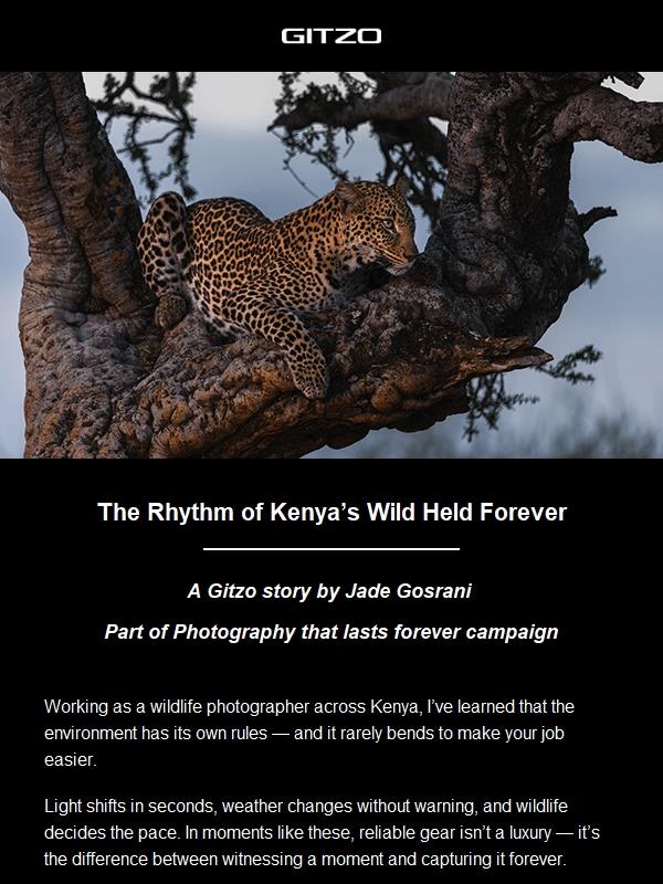 Where wild nature sets the pace