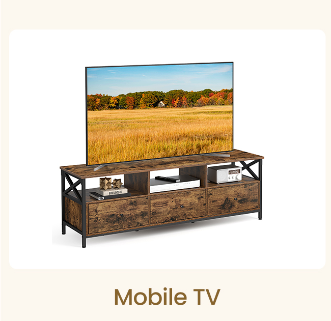 Mobile TV