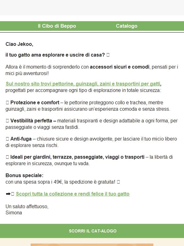 Il tuo gatto esce spesso fuori casa?
