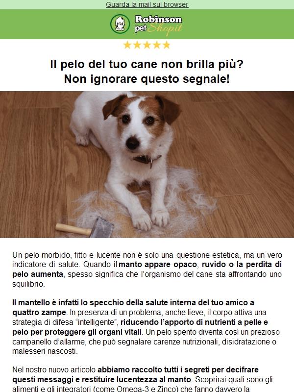 🐕✨ Pelo spento? Ecco cosa sta cercando di dirti il tuo cane