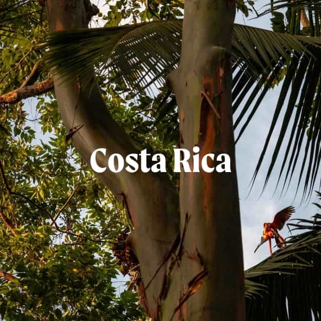 costa rica