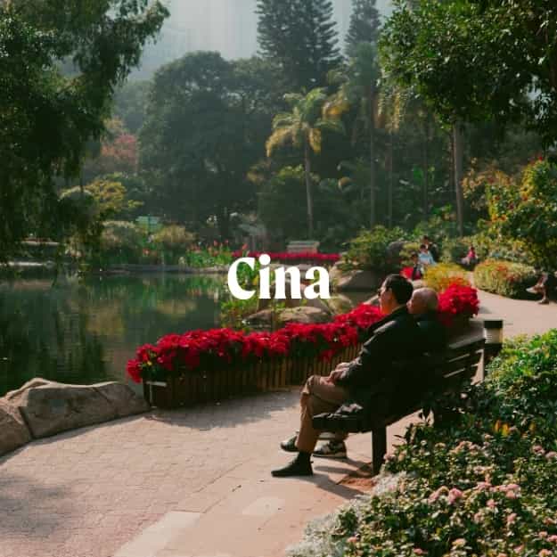 cina