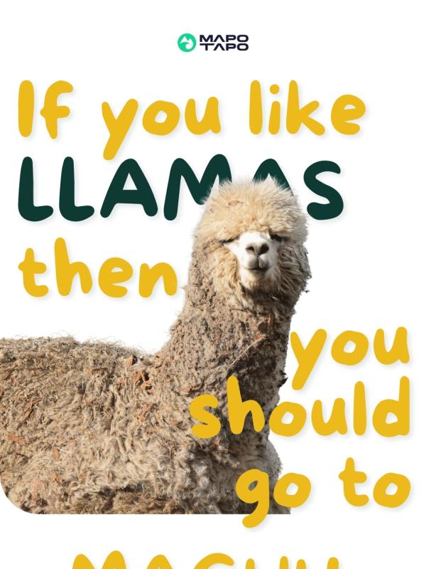 Open this email if you like LLAMAS