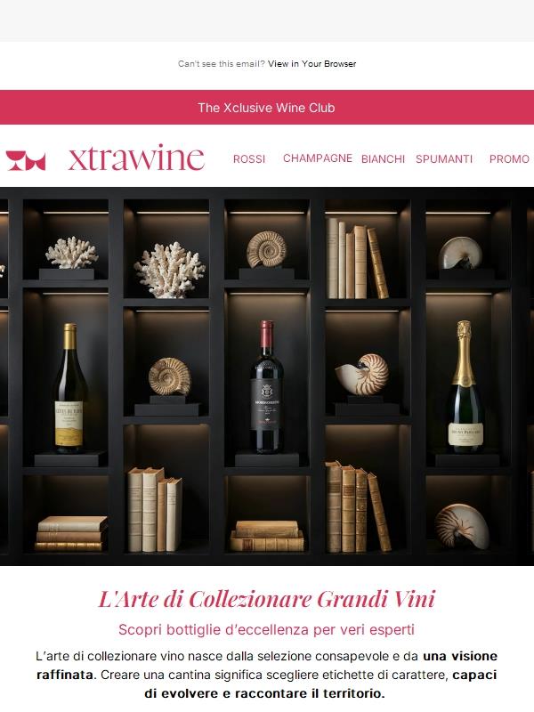 L’arte di collezionare grandi vini