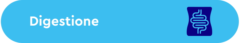 Digestione