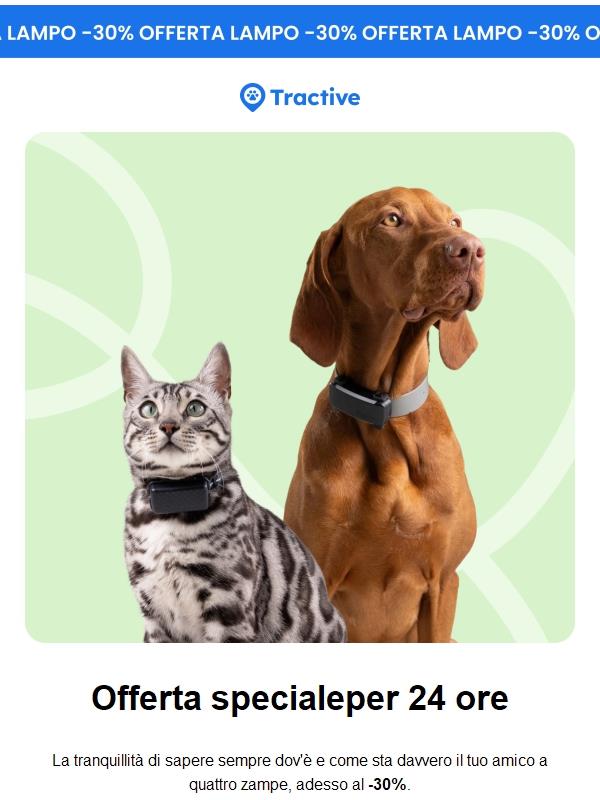 💥 Offerta lampo: -30%