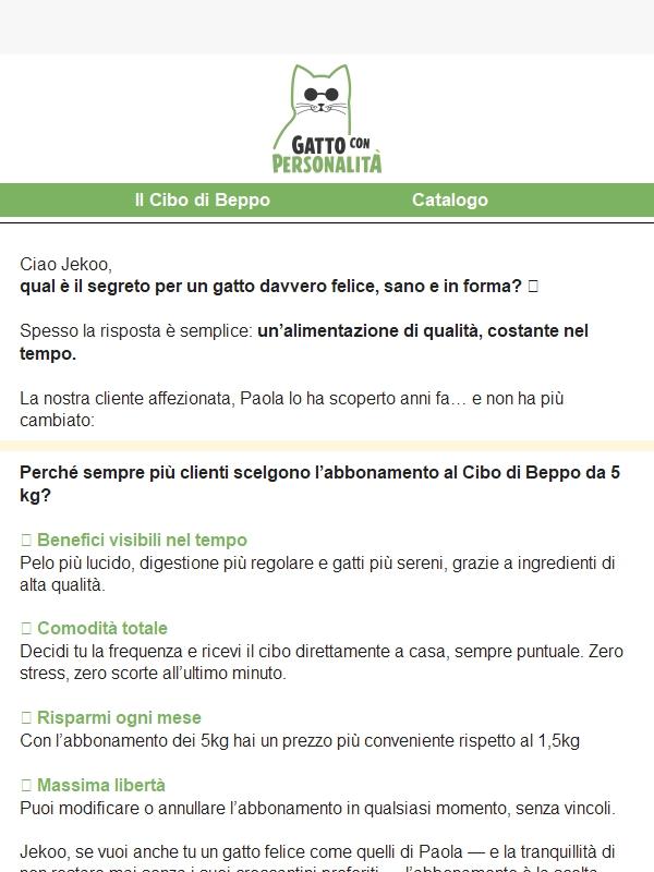 Scopri il segreto per un gatto felice! 😻