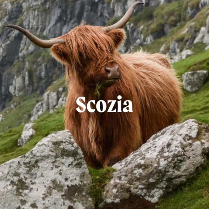 scozia