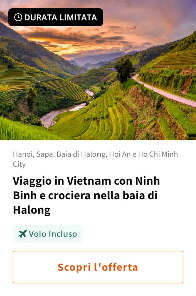 Viaggio in Vietnam con Ninh Binh e crociera nella baia di Halong