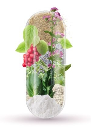 Ingredienti scelti con cura