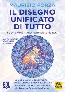 Il Disegno Unificato di Tutto