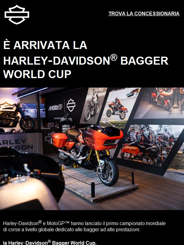 Harley Davidson Bagger World Cup