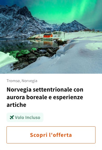 Norvegia settentrionale con aurora boreale e esperienze artiche