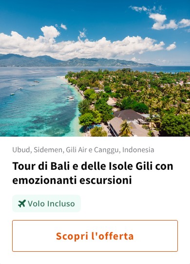 Tour di Bali e delle Isole Gili con emozionanti escursioni