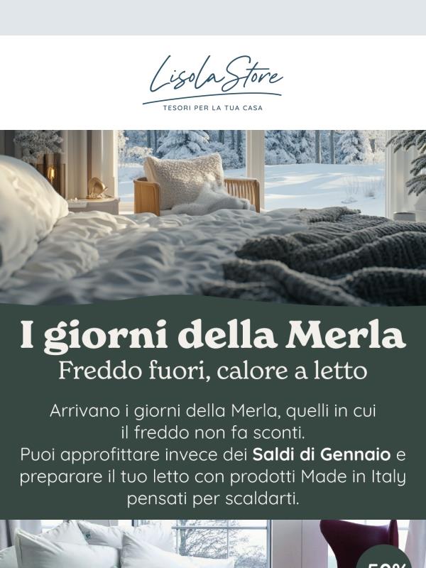 🐦‍⬛ Arrivano i Giorni della Merla, il freddo più intenso dell’anno