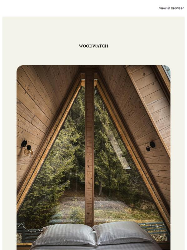 The Friday Pause: collecting moments, discovering nearby 🤍