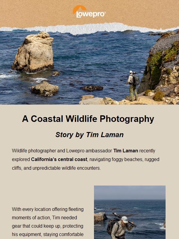 🎒 Pro Trekker BP 650 AW II: Built For The Wild