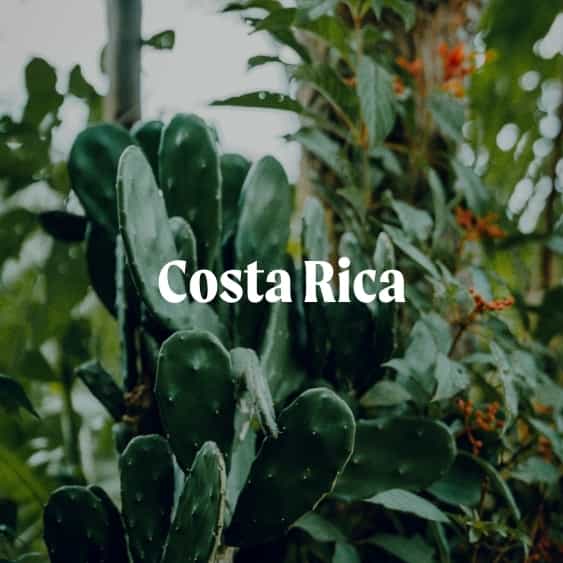 costa rica