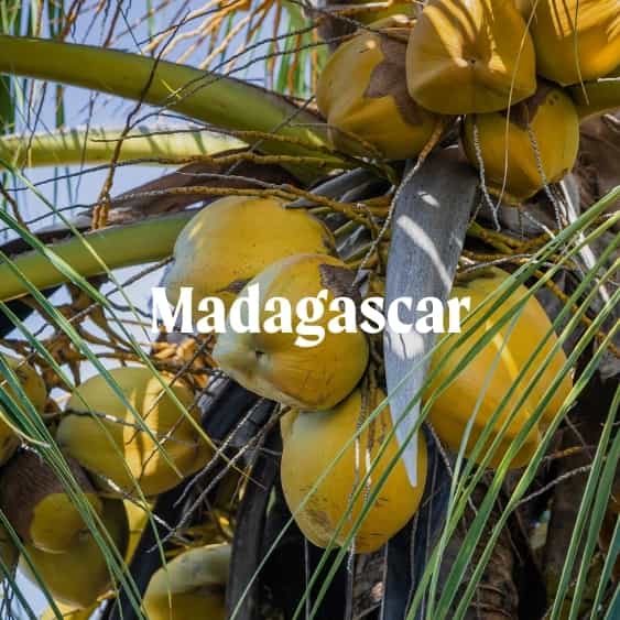 madagascar
