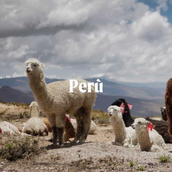 peru