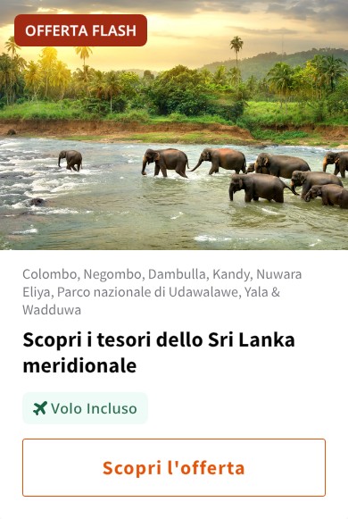 Scopri i tesori dello Sri Lanka meridionale