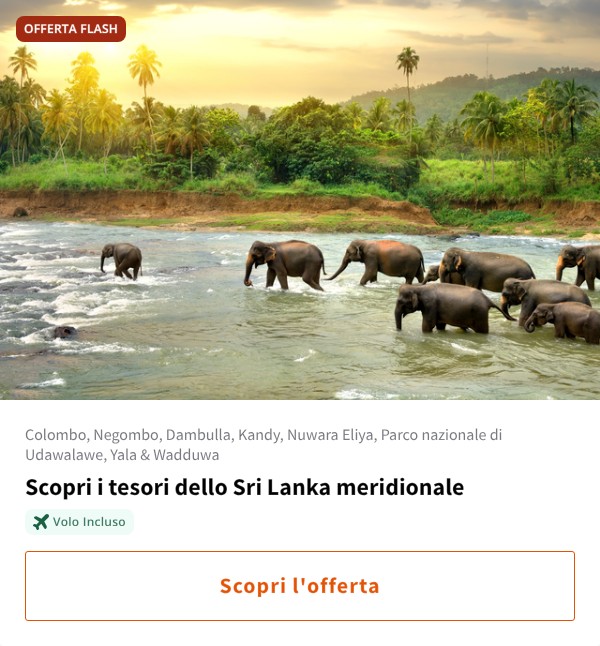 Scopri i tesori dello Sri Lanka meridionale