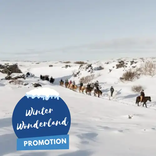 Activity image: Tour a cavallo islandese con opzione di prelievo da Reykjavík