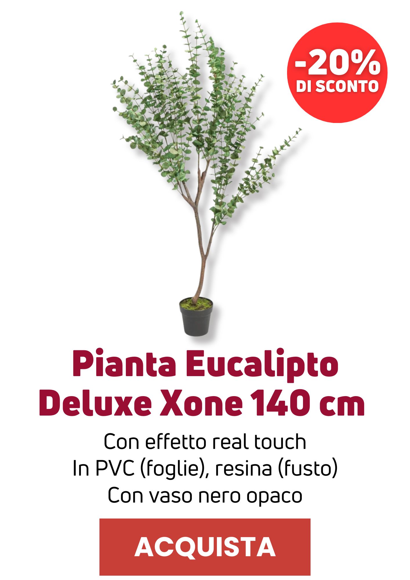 Eucalipto Deluxe Xone | Perrone Shop