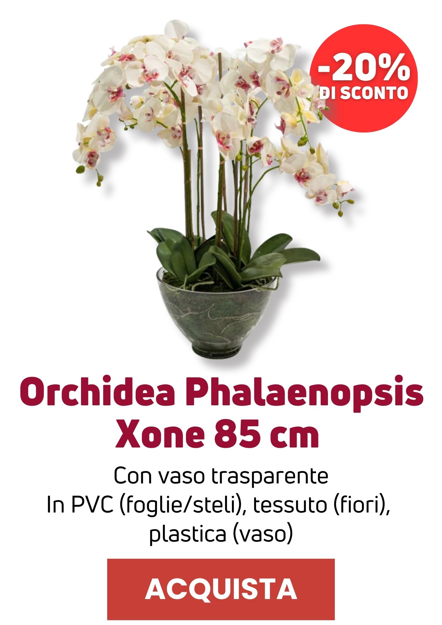 Orchidea con vaso Xone | Perrone Shop