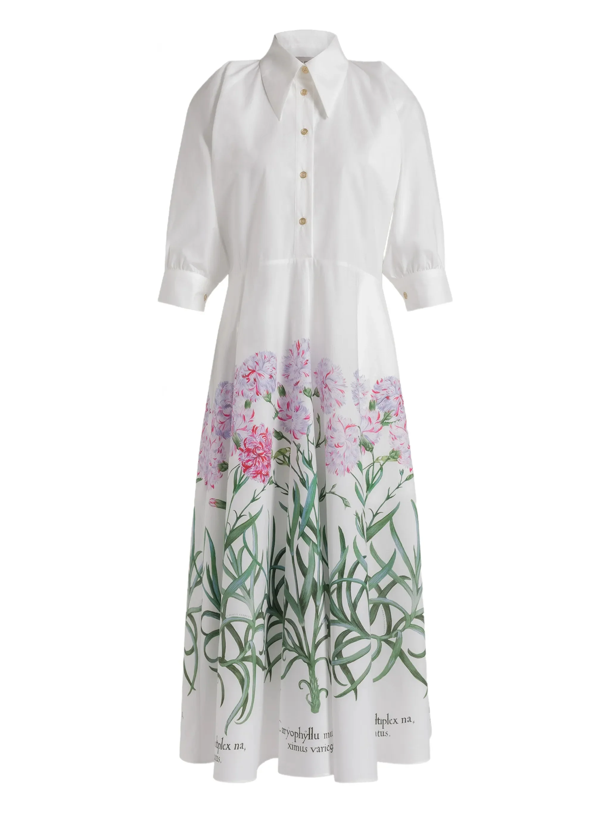 Image of Alberta Ferretti Floral Print Shirt Dress