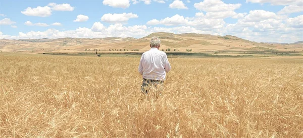 ✨ Storie di produttori: SeminiAmo dalla Sicilia