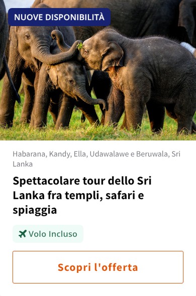 Spettacolare tour dello Sri Lanka fra templi, safari e spiaggia