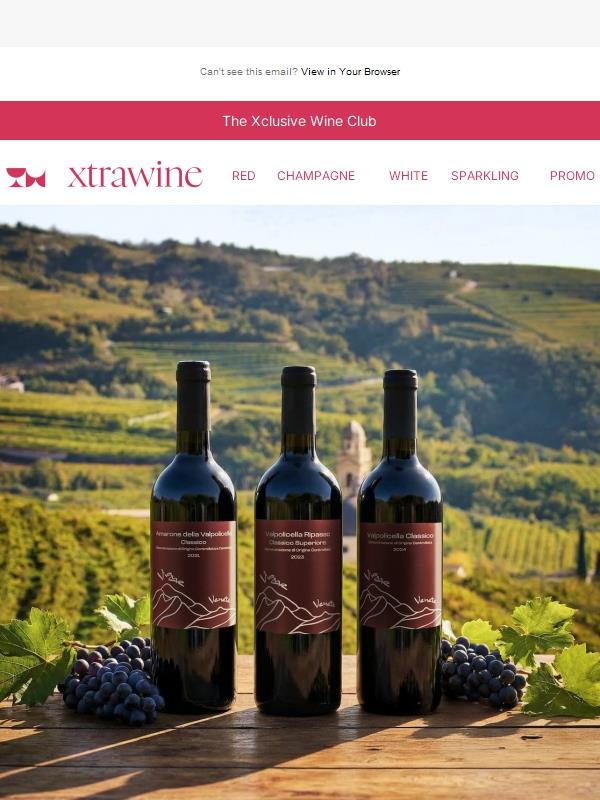 Vigne Venete: 40% off 12 bottles