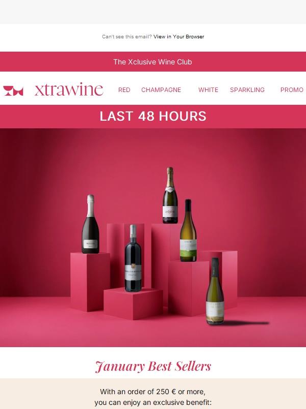 LAST 48 HOURS: Exclusive 20% Off Best Sellers