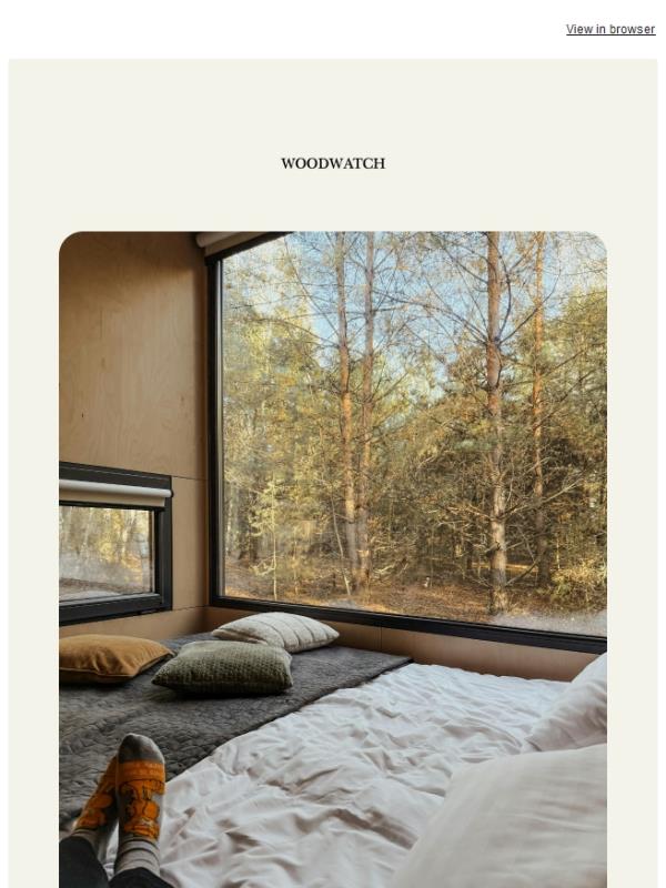 The Friday Pause: why we choose analog 🍃