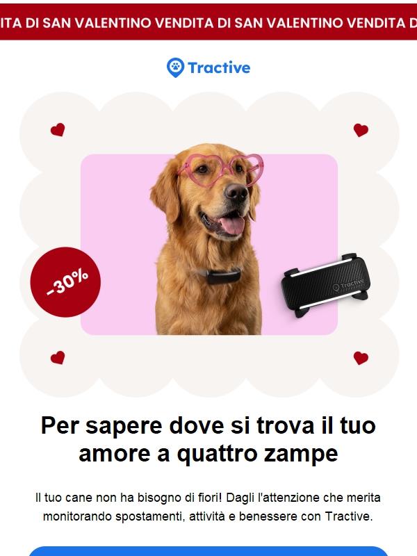 Offerta di San Valentino: 30% di sconto