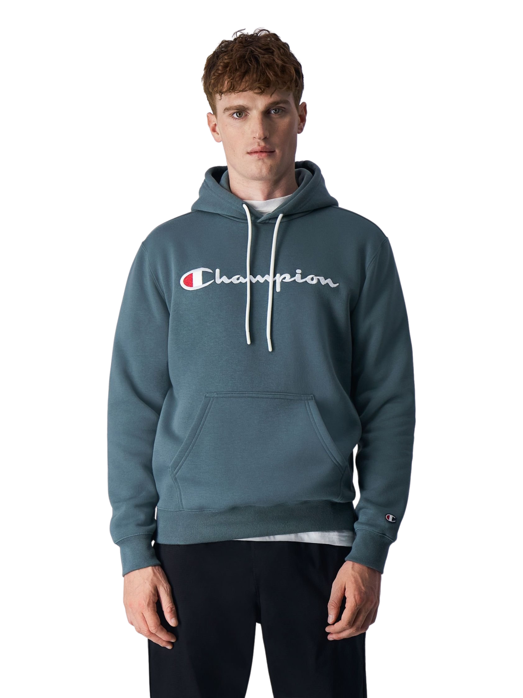CHAMPION POWER BLEND FLEECE HOODIE