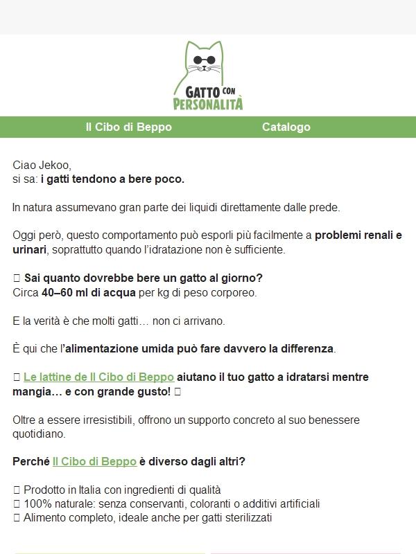 Sai quanto dovrebbe bere il tuo gatto?