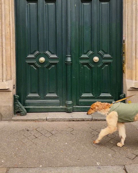 NUOVA COLLEZIONE SS26