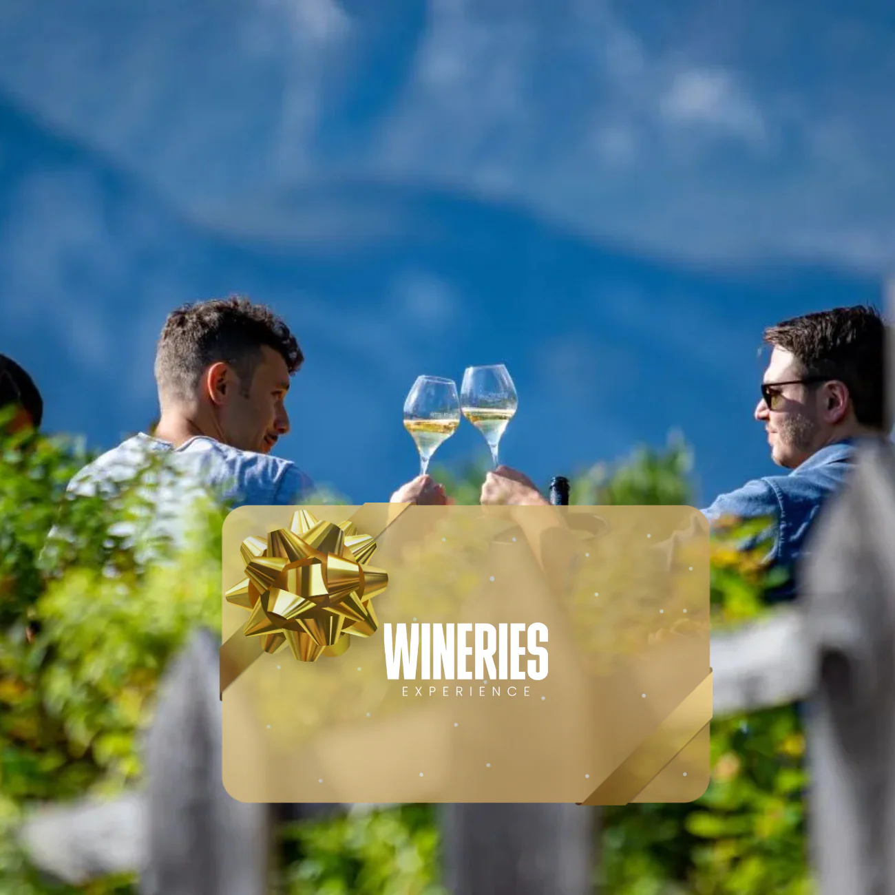 Gift Card - Pranzo in vigna con vista panoramica WINERIES