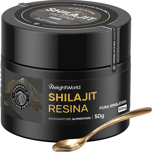 Resina di Shilajit