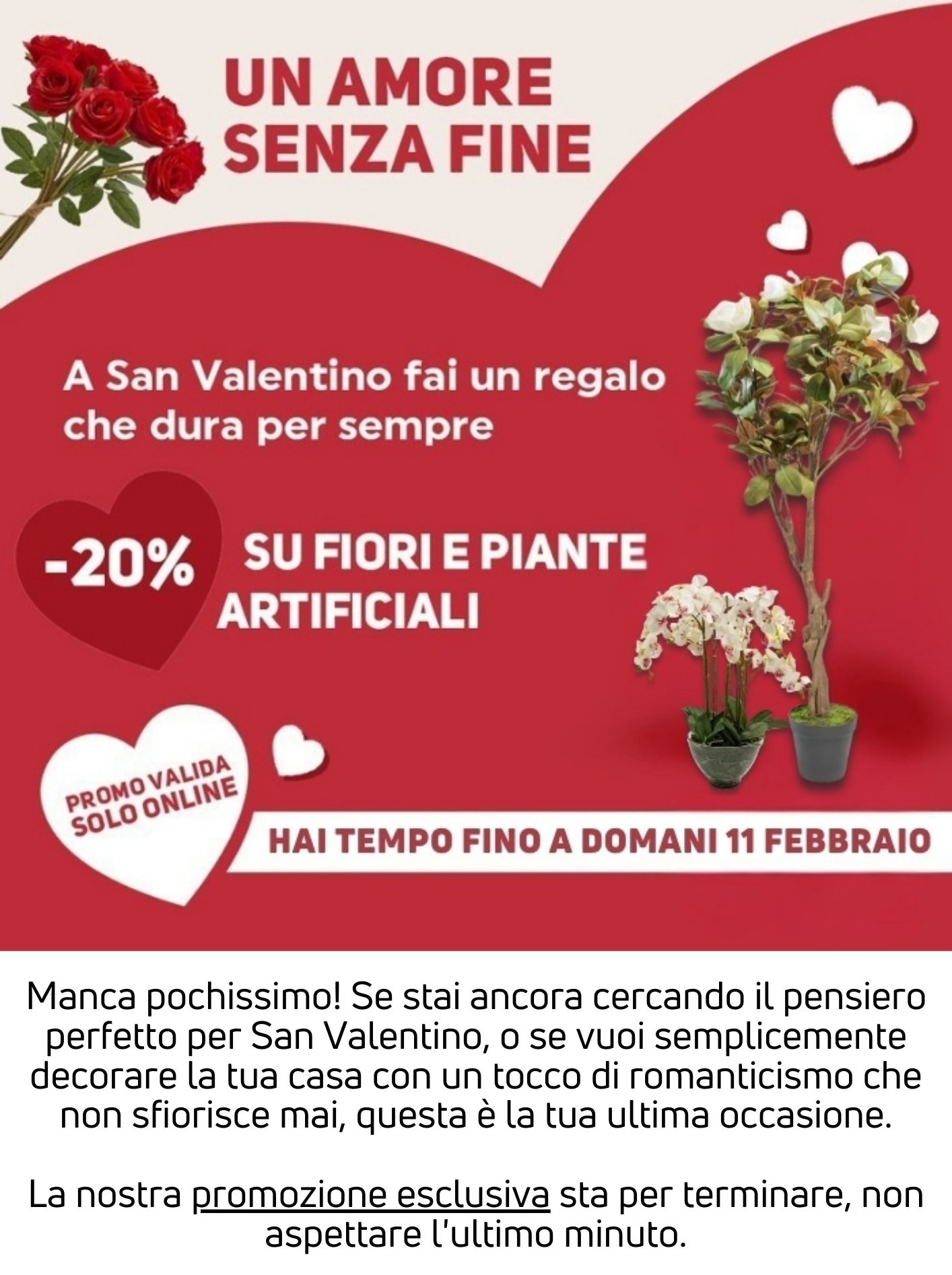 -20% di sconto su fiori e piante