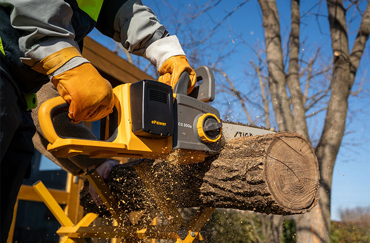 Pruning fun with chainsaws