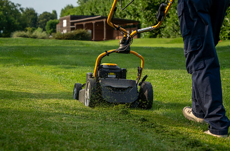 Lawn mowers to the action