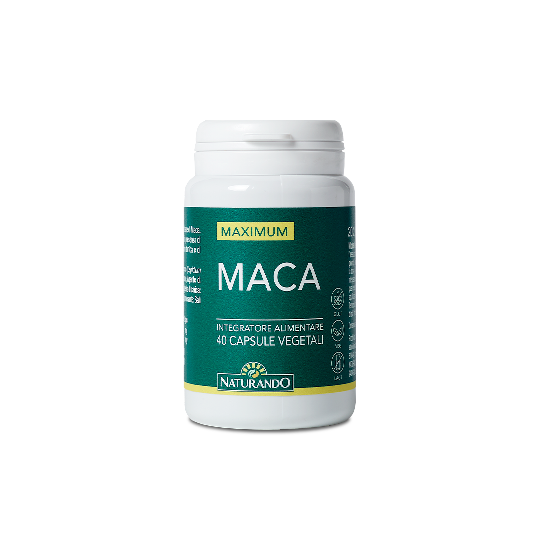 Maca